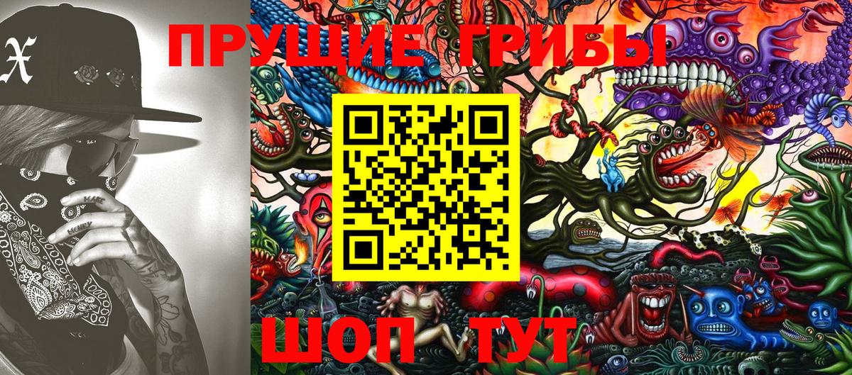 Псилоцибиновые грибы Psilocybe Богданович