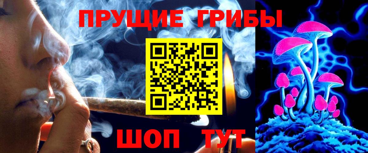 Галлюциногенные грибы мицелий  купить закладку  Вход с VPN  Богданович  Псилоцибиновые грибы Psilocybine cubensis 